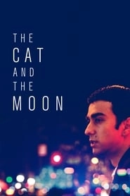 The Cat and the Moon hd