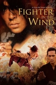 Fighter in the Wind hd