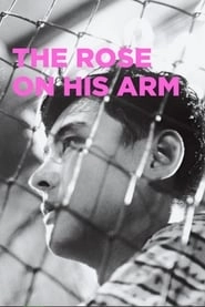 The Rose on His Arm hd