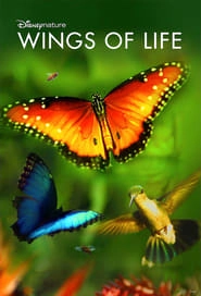 Wings of Life hd