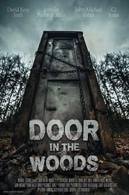 Door in the Woods hd