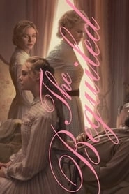 The Beguiled hd