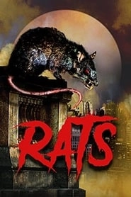 Rats hd
