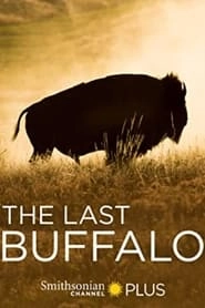 The Last Buffalo hd