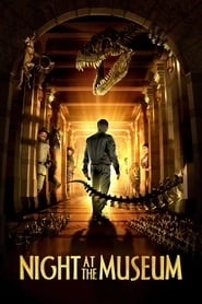 Night at the Museum hd