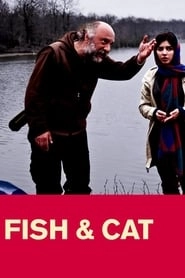 Fish & Cat hd