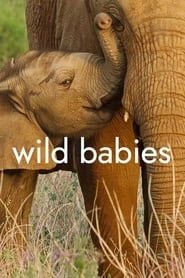 Wild Babies hd