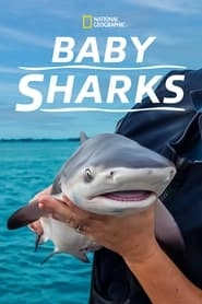 Baby Sharks HD