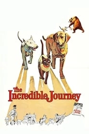The Incredible Journey hd