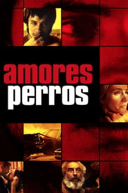 Amores Perros hd