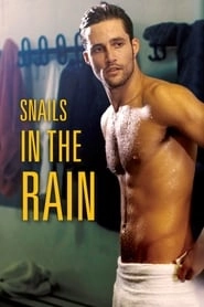 Snails in the Rain hd