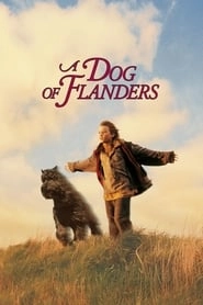 A Dog of Flanders hd