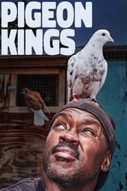 Pigeon Kings hd
