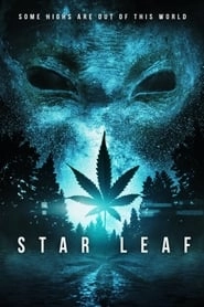 Star Leaf hd