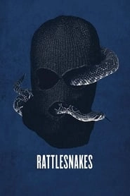 Rattlesnakes hd