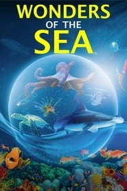 Wonders of the Sea 3D hd