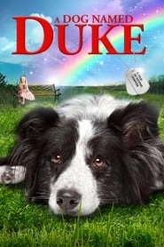 A Dog Named Duke hd