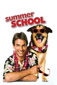 Summer School HD