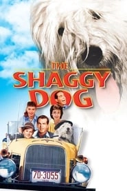 The Shaggy Dog hd