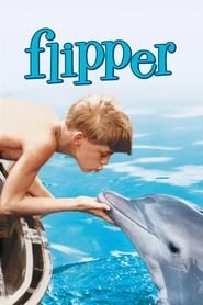 Flipper hd