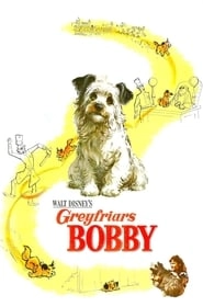 Greyfriars Bobby: The True Story of a Dog hd