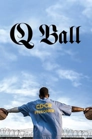 Q Ball hd