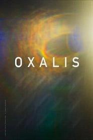 Oxalis hd