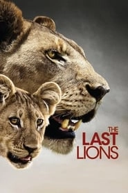 The Last Lions hd