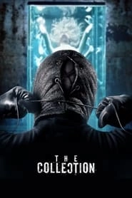 The Collection hd