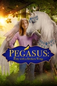 Pegasus: Pony With a Broken Wing hd