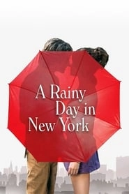A Rainy Day in New York hd