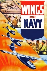 Wings of the Navy hd