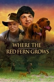 Where the Red Fern Grows hd