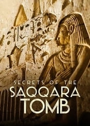 Secrets of the Saqqara Tomb HD