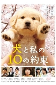 10 Promises to My Dog hd