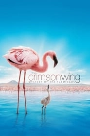 The Crimson Wing: Mystery of the Flamingos hd